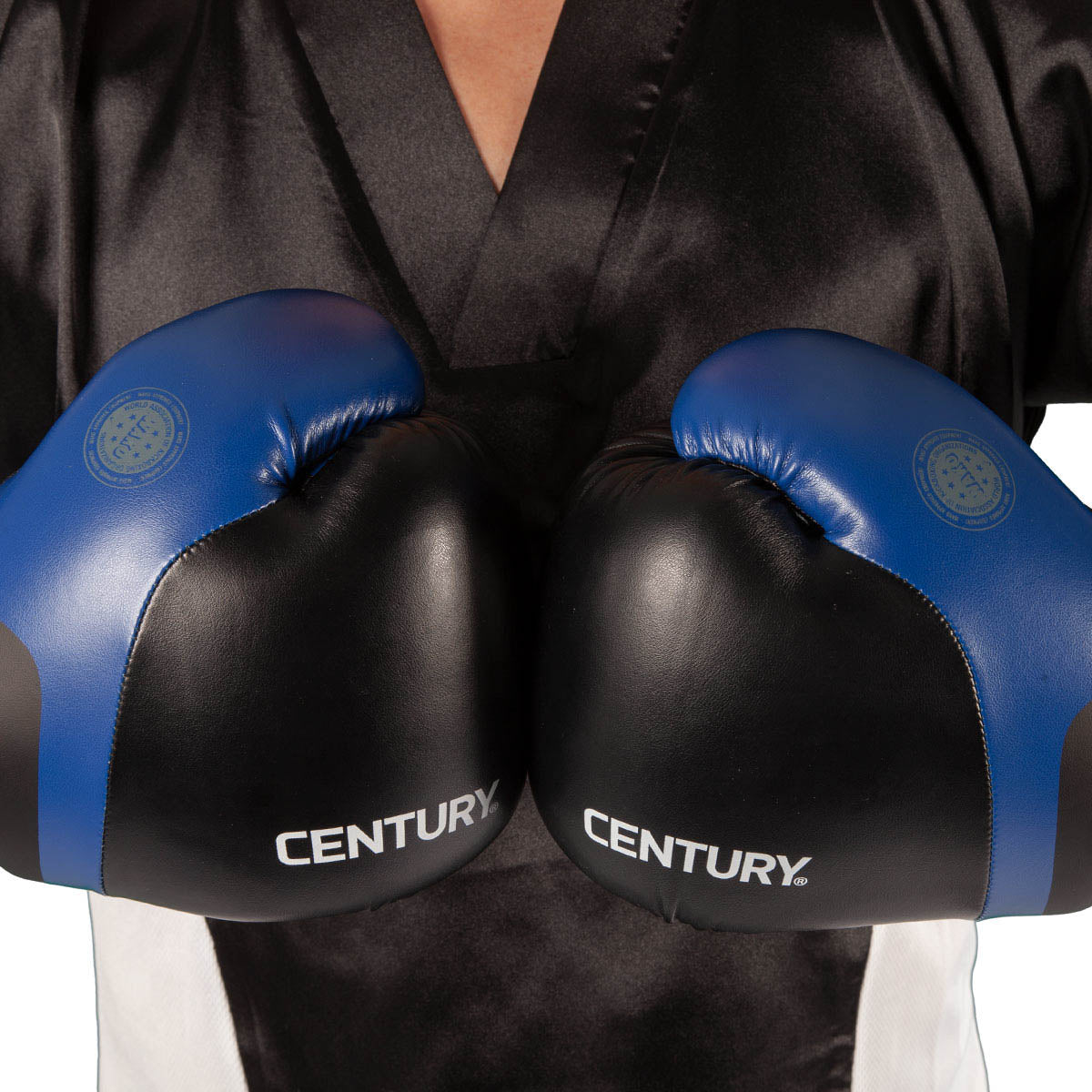 Blue and black kickboxing gloves with CENTURY logo on the front wrist pads.